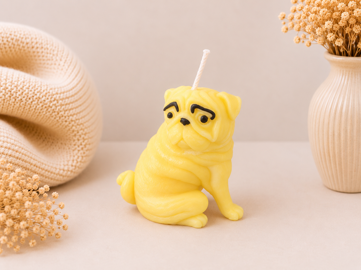 Pina Pug