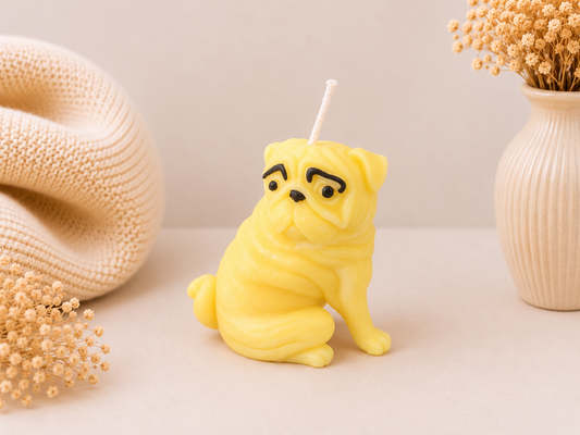 Pina Pug