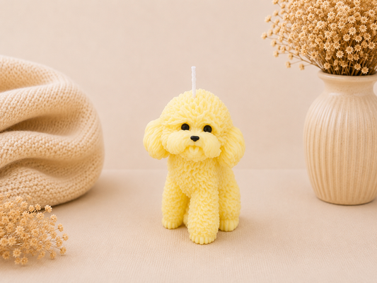Tropical Poodle