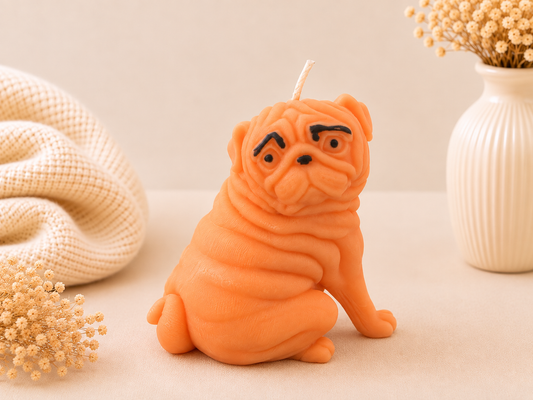 Citrus Pug
