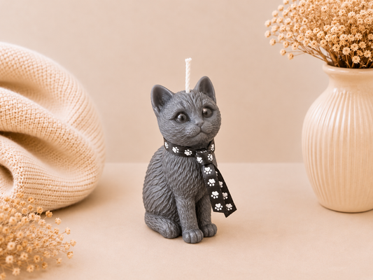 Cashmere Kitty