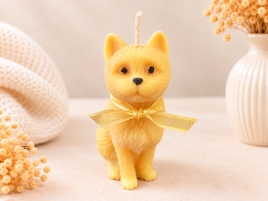 Caramel Kitty