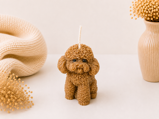 Caramel Poodle