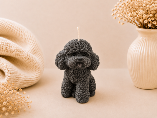 Midnight Poodle