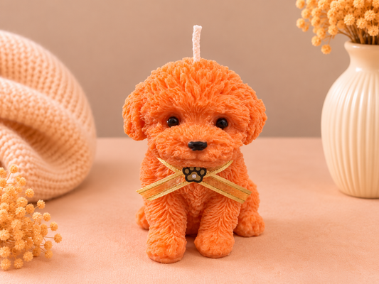 Citrus Pup