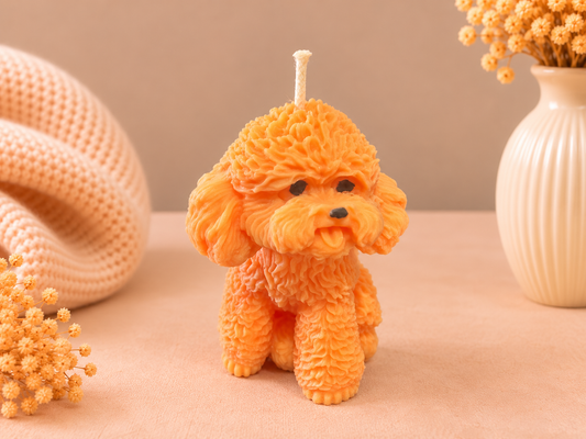 Citrus Poodle 🍊