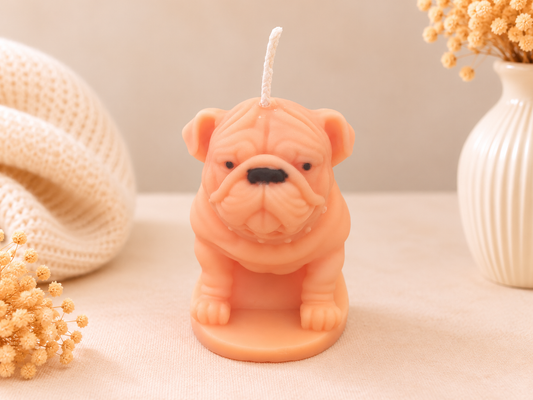 Citrus Bully