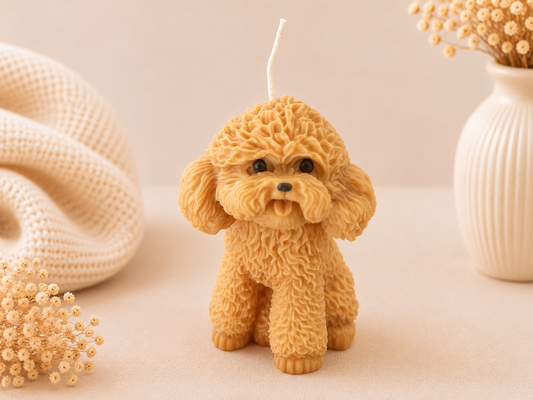 Vanilla  Caramel Poodle