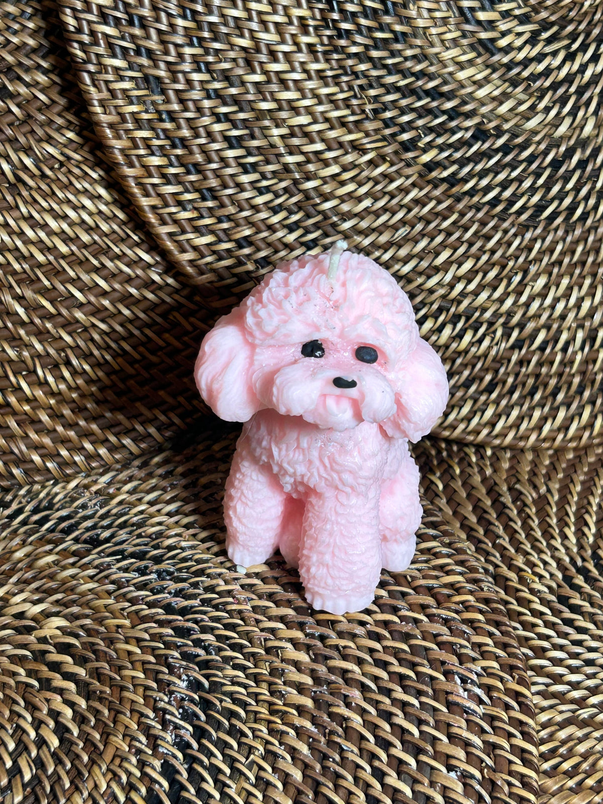 Sticky Sweet Poodle