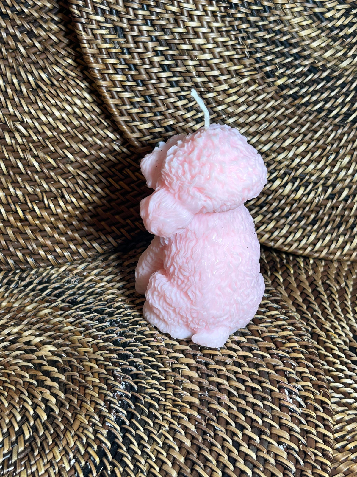 Sticky Sweet Poodle